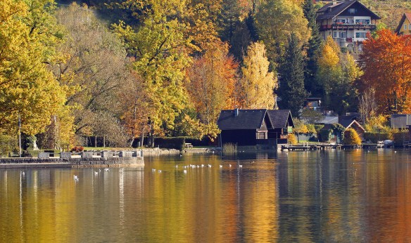 landscape-660277evised