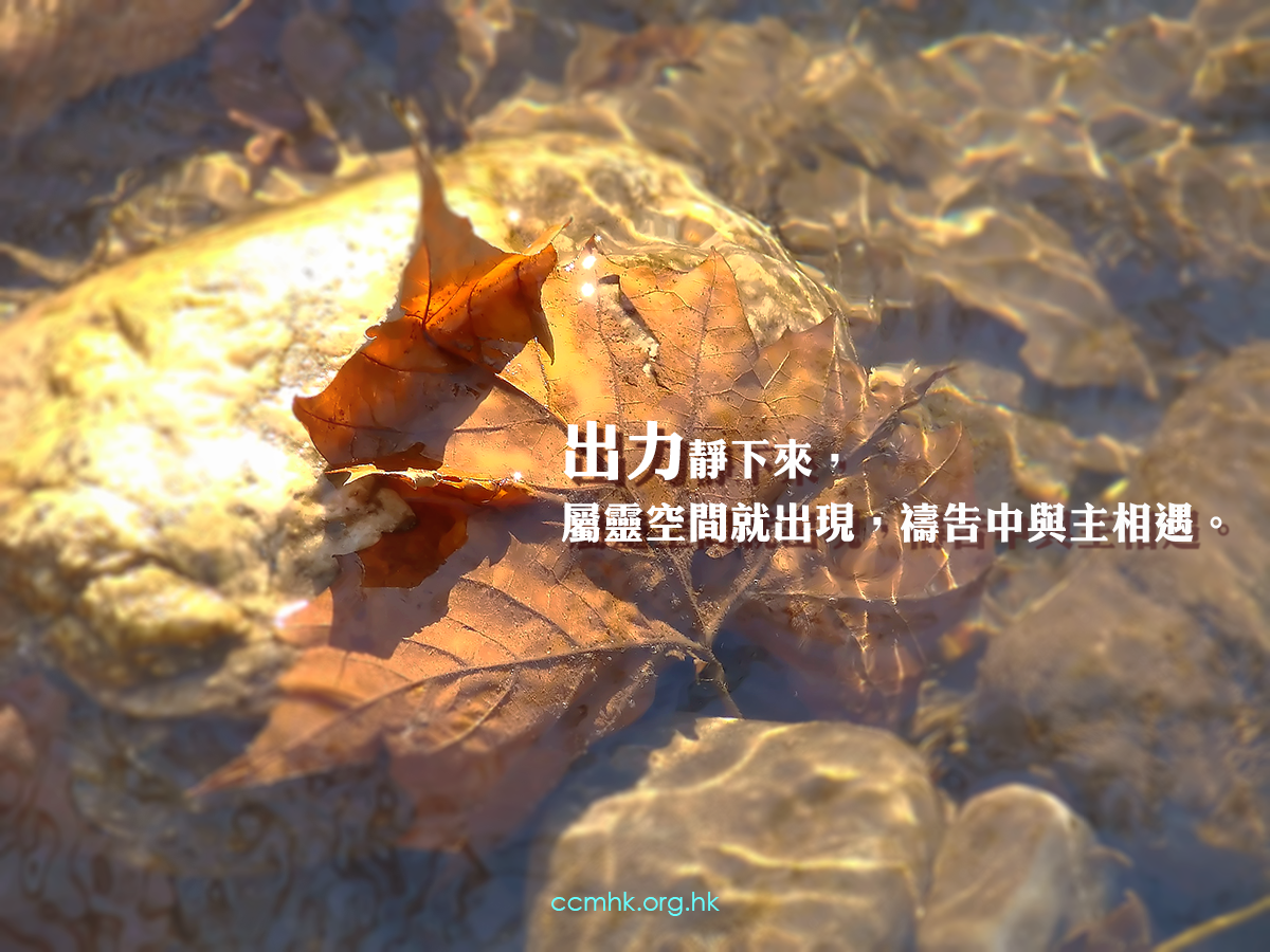 ccmFB_CP151_20180319