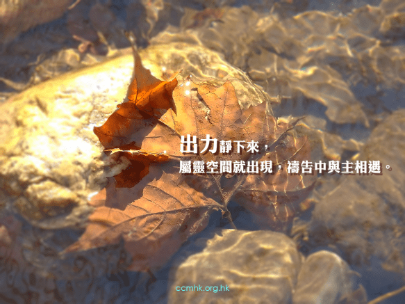 ccmFB_CP151_20180319