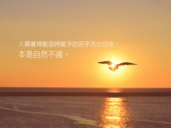 ccmFB_CP152_20180424