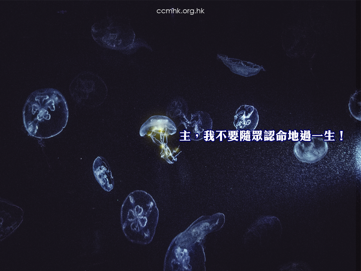 ccmFB_CP154_20181112